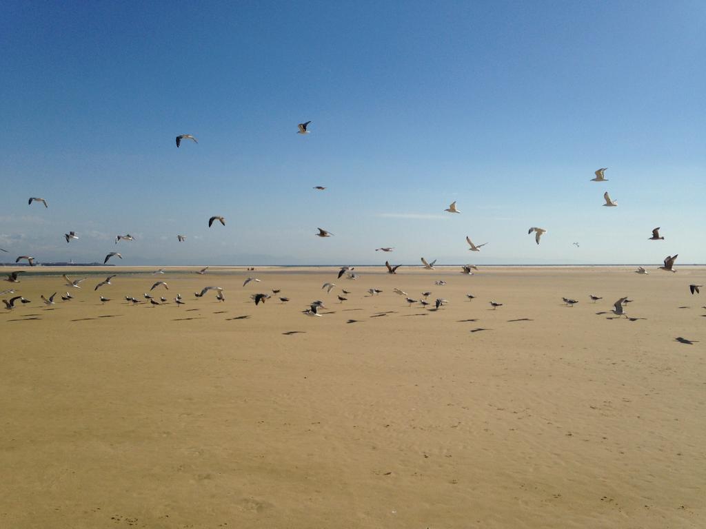 Rural Tarifa Beach Las Cabanas Экстерьер фото